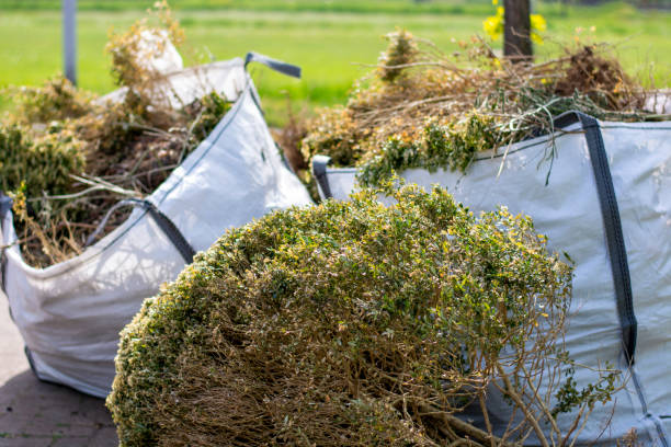Professional Junk Removal in Belle Plaine, MN